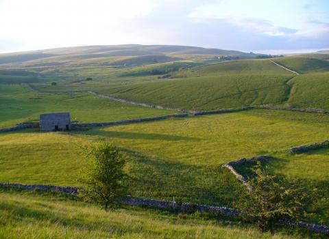 Ashes Pasture Credit Charlotte Bickler