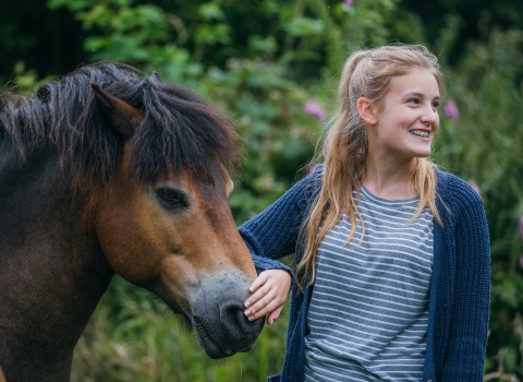 Pony checker Askham Bog