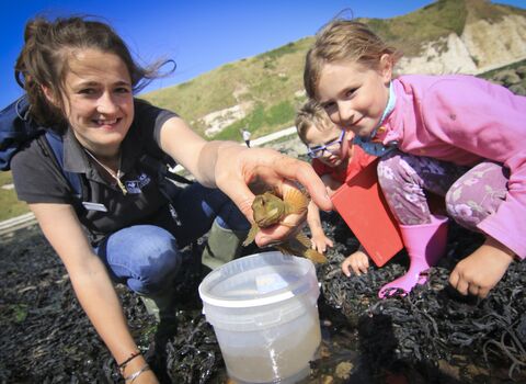 South Landing Rockpooling