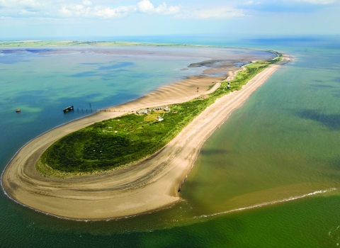 Spurn