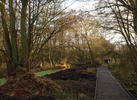 Askham bog