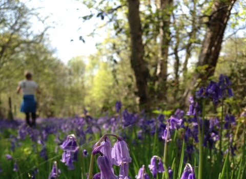 North Cliffe Wood Credit Bex Lynam