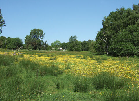 Stocksmoor Common Credit Nabil Abbas