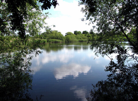 Saltmarshe Delph Credit Barry Greenacre