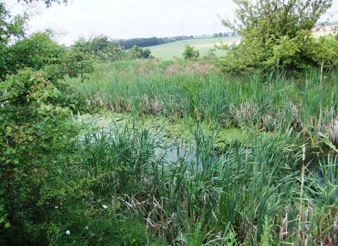 Barnsley Canal Credit Carys Hutton