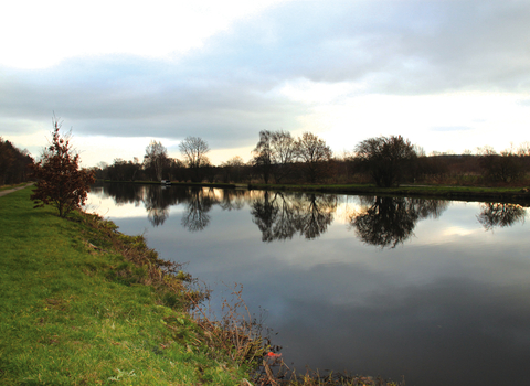 Water Haigh Park Credit Jo Richards