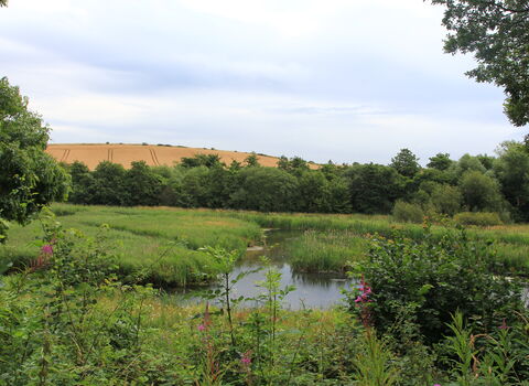 Carlton Marsh Nature Reserve Credit Jim Horsfall