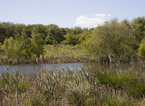 Rothwell Country Park Credit Danny Hill