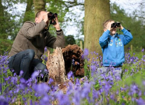 Family birdwatching