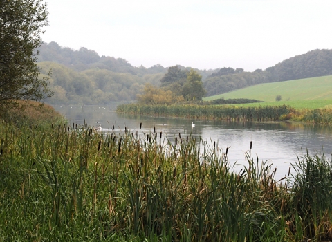 Sprotborough Flash Nature Reserve Credit Peter Dawson