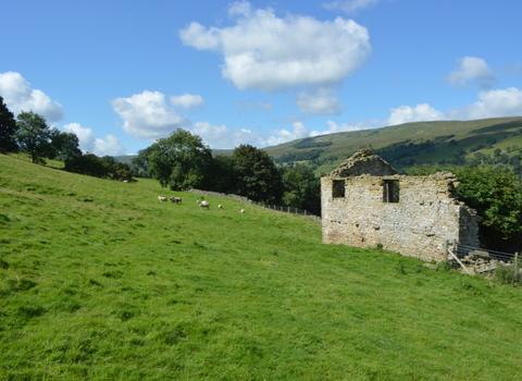 Newbiggin Pasture