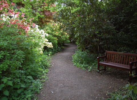 Moorlands Nature Reserve Credit Kirsten Smith