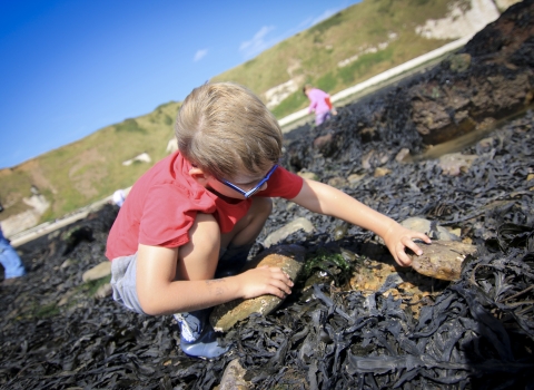 Rockpooling