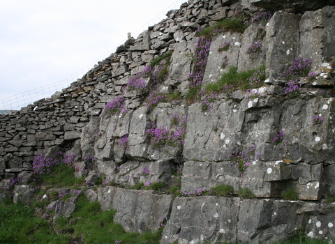 Seata Quarry Nature Reserve Credit Peter Christopherson