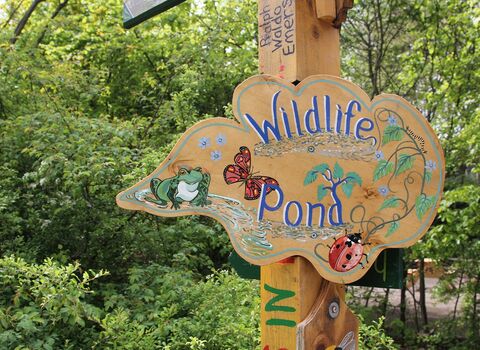 Pearson Park Credit Jess Charlton