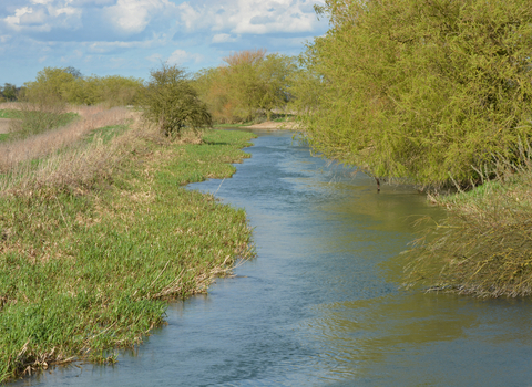 Skerne Wetlands West Beck Chalk River Credit Andrew Gallon