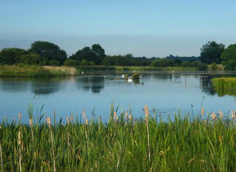 Staveley Nature Reserve Credit Paul Fox