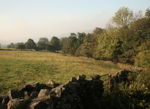 Birch Wood Nature Reserve