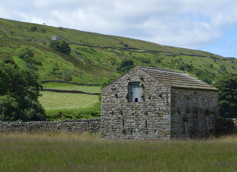 Yellands Meadow Nature Reserve