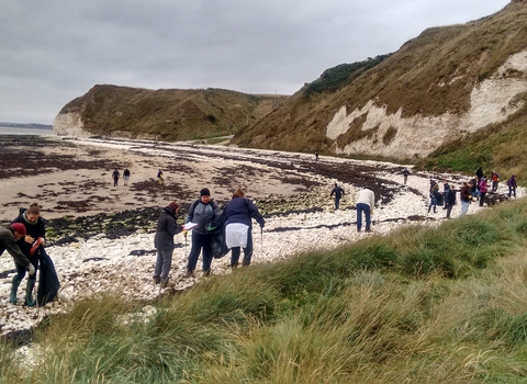 Beach cleaning