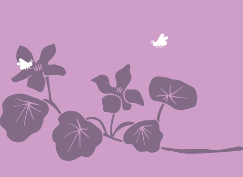How to plant flowers for bumblebees 