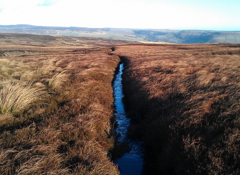 Gully on peatland