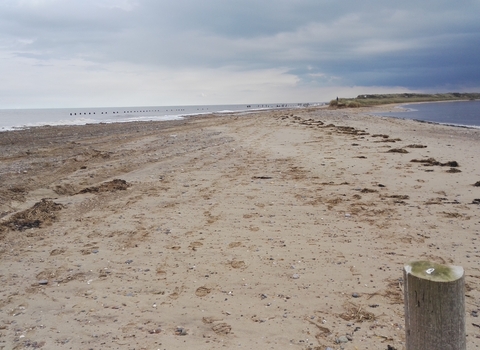 Spurn Beach Post Looking S