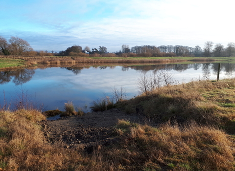 View over Ripon City Wetlands