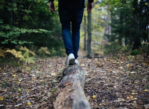 Person walking on tree trunk