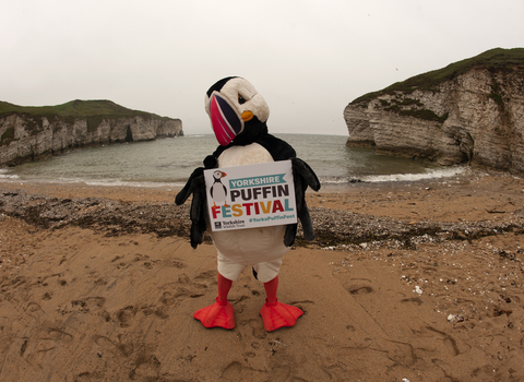 Puffin at Yorkshire Puffin Festival