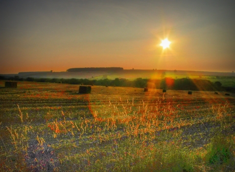 Wolds Autumn sunset