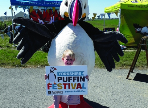 Cliff the Puffin
