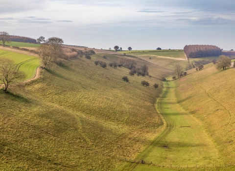 View overlooking Thixendale valley