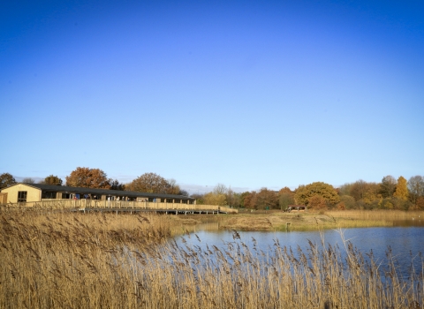 Potteric Carr visitor centre