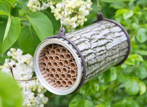 Bee hotel