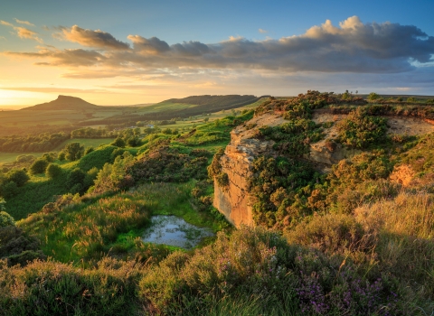 View over Roseberry Topping