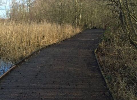 Wider section of boardwalk at pond at Askham Bog