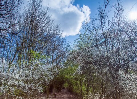 Spring Day © Derek Parker 2020