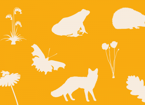 Silhouettes of garden animals