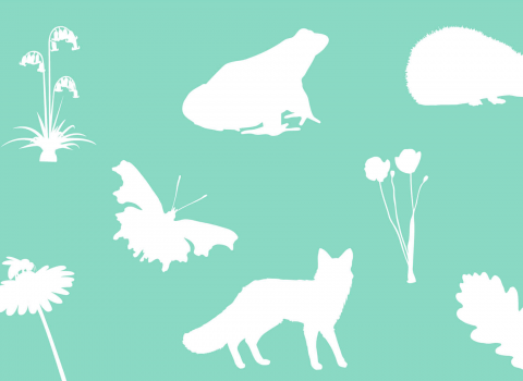 Wildlife silhouettes teal