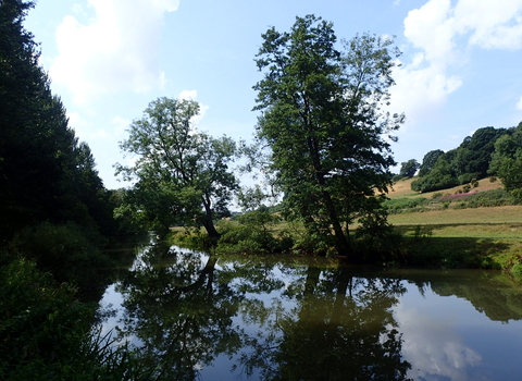 Derwent Menethorpe to Kirkham