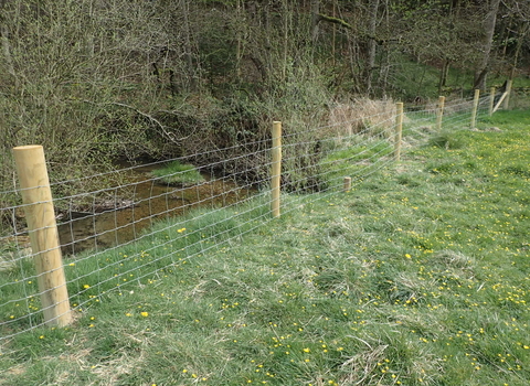 Dalby beck fencing River Derwent