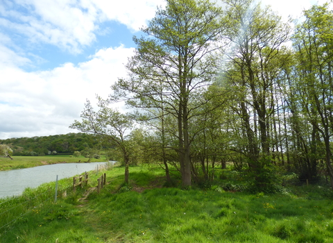 River Derwent at Jeffry Bog