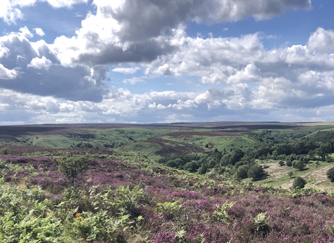 Fylingdale moor