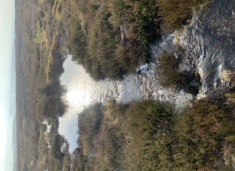 Moorland - hole filled with water trapping sediment