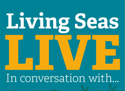 Living Seas live square