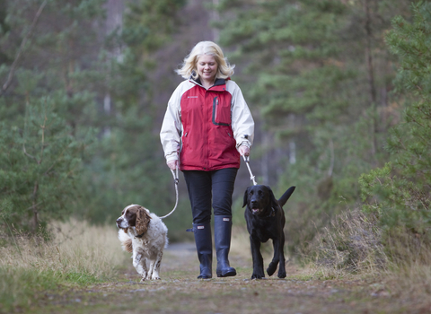 walking dogs in the countryside