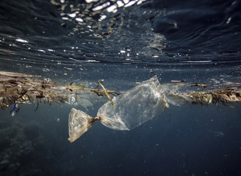 Plastic bag drifting underwater 