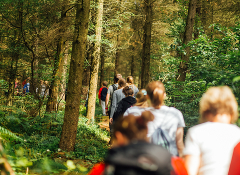 People in woodland walking away from camera