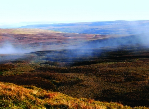 Moorland habitats - Buckden pike - Credit Gordon Haycock